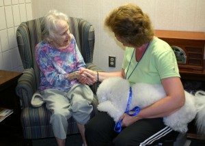 animal-therapy-visit-north-star