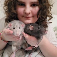 Carli and Rats